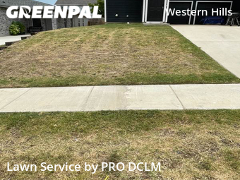 Yard Cutting nearby Fort Worth, TX, 