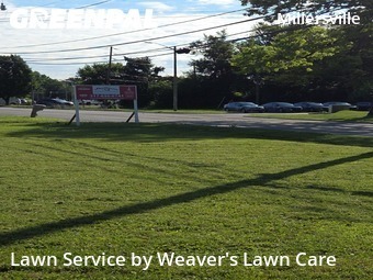 Yard Mowing nearby Indianapolis, IN, 