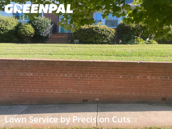 Grass Cut nearby Charlotte, NC, 