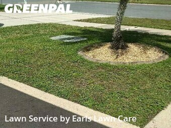Lawn Cutting nearby Riverview, FL, 