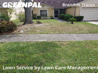 Grass Cutting nearby Brandon, FL, 