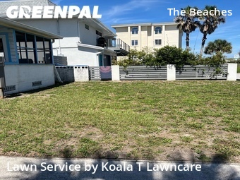 Grass Cutting nearby Neptune Beach, FL, 