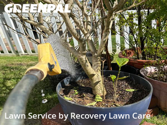 Lawn Mowing nearby Fenton, MO, 