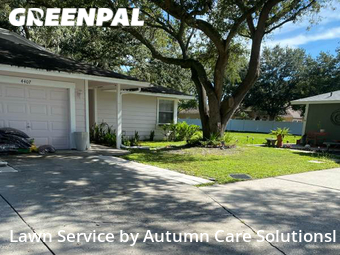 Yard Mowing nearby Tampa, FL, 