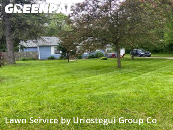 Grass Cutting in Wadsworth, 60083, Yard Care by Uriostegui Group Co, work completed in Dec , 2025