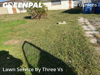 Lawn mowed in Holiday, 34691