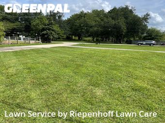 Lawn Maintenance nearby Lutz, FL, 