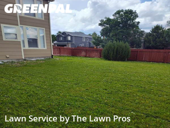 Lawn Mow nearby Thornton, CO, 