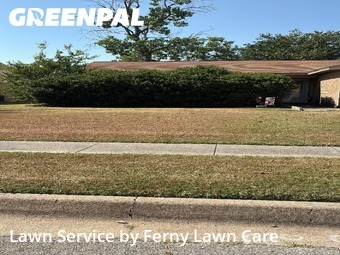 Lawn Mow nearby Saginaw, TX, 