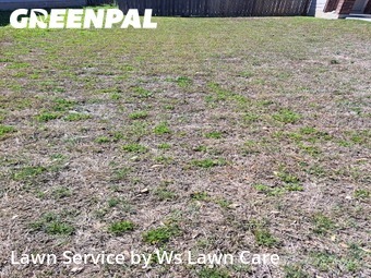Lawn Service nearby Seguin, TX, 