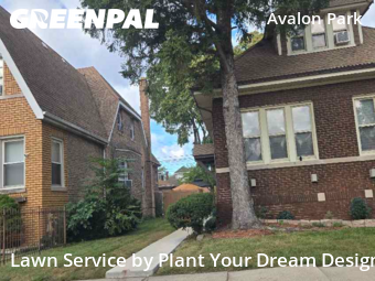 Lawn Care nearby Chicago, IL, 