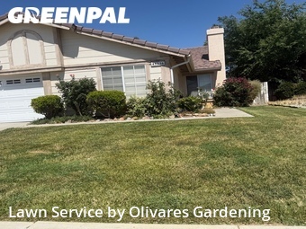 Landscaping Maintenance In Lancaster,93535,Landscaping Services by Olivares Gardening , work completed in Jun , 2026