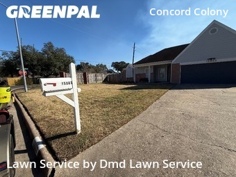 Grass Cutin Houston,77084,Lawn Mow by Dmd Lawn Service, work completed in Feb , 2026