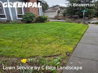 Grass Cut nearby Beaverton, OR, 