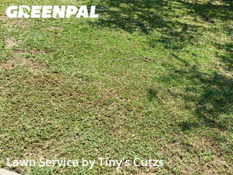 Lawn Care nearby Valdosta, GA, 