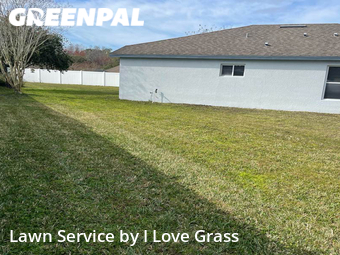 Grass Cut nearby Wesley Chapel, FL, 