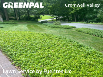 Grass Cut nearby Towson, MD, 