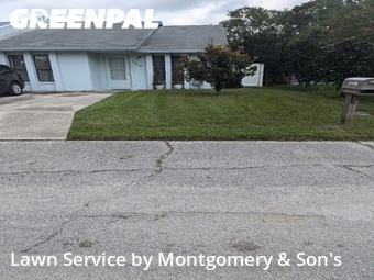 Grass Cut nearby Lakeland, FL, 