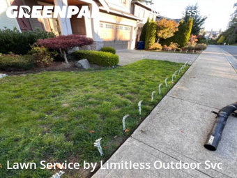 Grass Care in Issaquah, 98029, Turf Services by Limitless Outdoor Svc, work completed in Nov , 2025