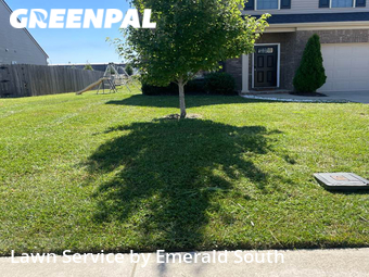 Lawn Mow nearby Murfreesboro, TN, 