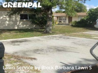 Grass Cut nearby Delray Beach, FL, 