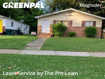 Lawn Cutting nearby Newport News, VA, 
