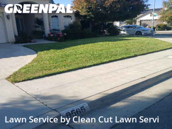 Work completed by grass-cutting-businesses-in-Fresno-CA