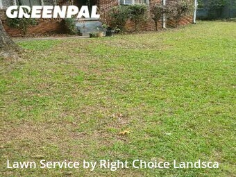 Grass Cutting nearby Atlanta, GA, 