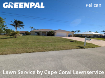 Lawn Service nearby Cape Coral, FL, 