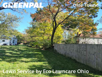 Backyard Landscaping In Columbus,43205,Landscaping Services by Eco Lawncare Ohio, work completed in Oct , 2025