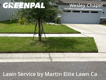 Lawn Cut nearby Wesley Chapel, FL, 