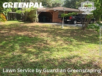 Grass Cut nearby Fort Myers, FL, 