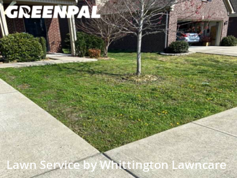 Lawn Mowing Service nearby Lebanon, TN, 