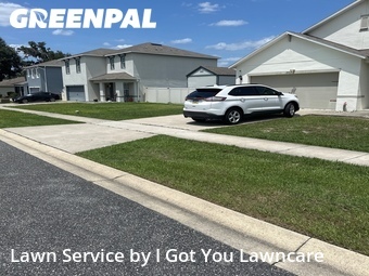 Grass Cut nearby Leesburg, FL, 
