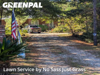 Property Maintenance in Prichard, 36613, Lawn Upkeep by No Sass Just Grass, work completed in Oct , 2025