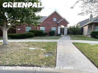 Yard Cutting nearby Frisco, FL, 