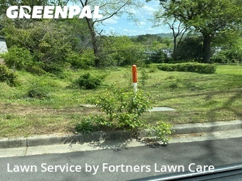 Lawn Mow nearby Birmingham, AL, 