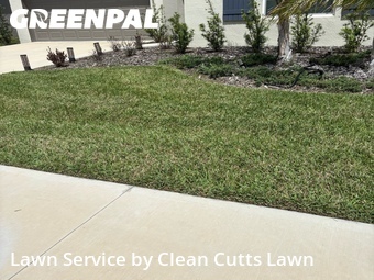 Grass Cutting nearby Wimauma, FL, 