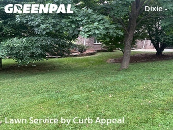 Lawn Cut nearby Charlotte, NC, 