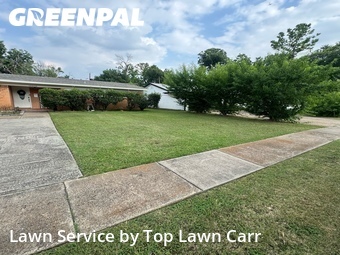 Lawn Cut nearby Farmers Branch, TX, 