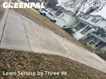 Lawn mowed in St. Petersburg, 33703