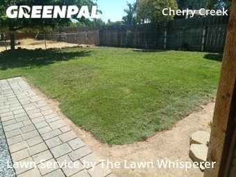 Lawn Service nearby Elverta, CA, 