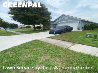 Yard Cutting nearby Kissimmee, FL, 