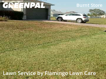Lawn Cutting in Cape Coral, 33993, Lawn Cutting by Flamingo Lawn Care, work completed in Dec , 2025