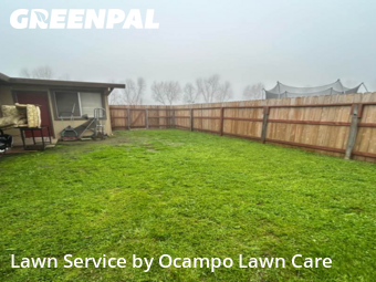 affordable-lawn-services-in-Yuba City-CA