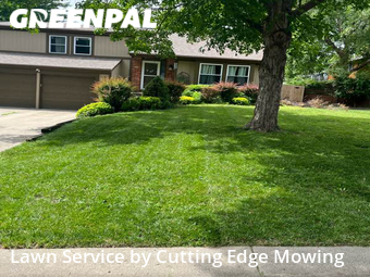 Grass Cut nearby Lenexa, MO, 