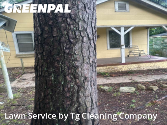 Lawn Mow nearby Bessemer, AL, 