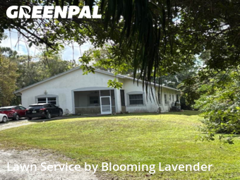 Lawn mowed in West Palm Beach, 33411