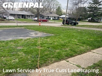 Lawn Cut nearby Columbus, FL, 