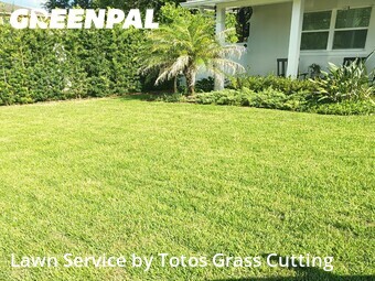 Grass Cutting nearby Orlando, FL, 